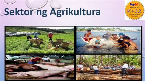 ANG SEKTOR NG agrikultura.pptx QUARTER 4 .